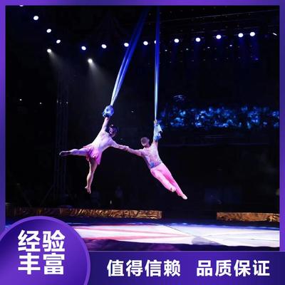 馬戲團(tuán)羊駝海獅表演與冰雕展出租賃 高性?xún)r(jià)比的優(yōu)質(zhì)選擇